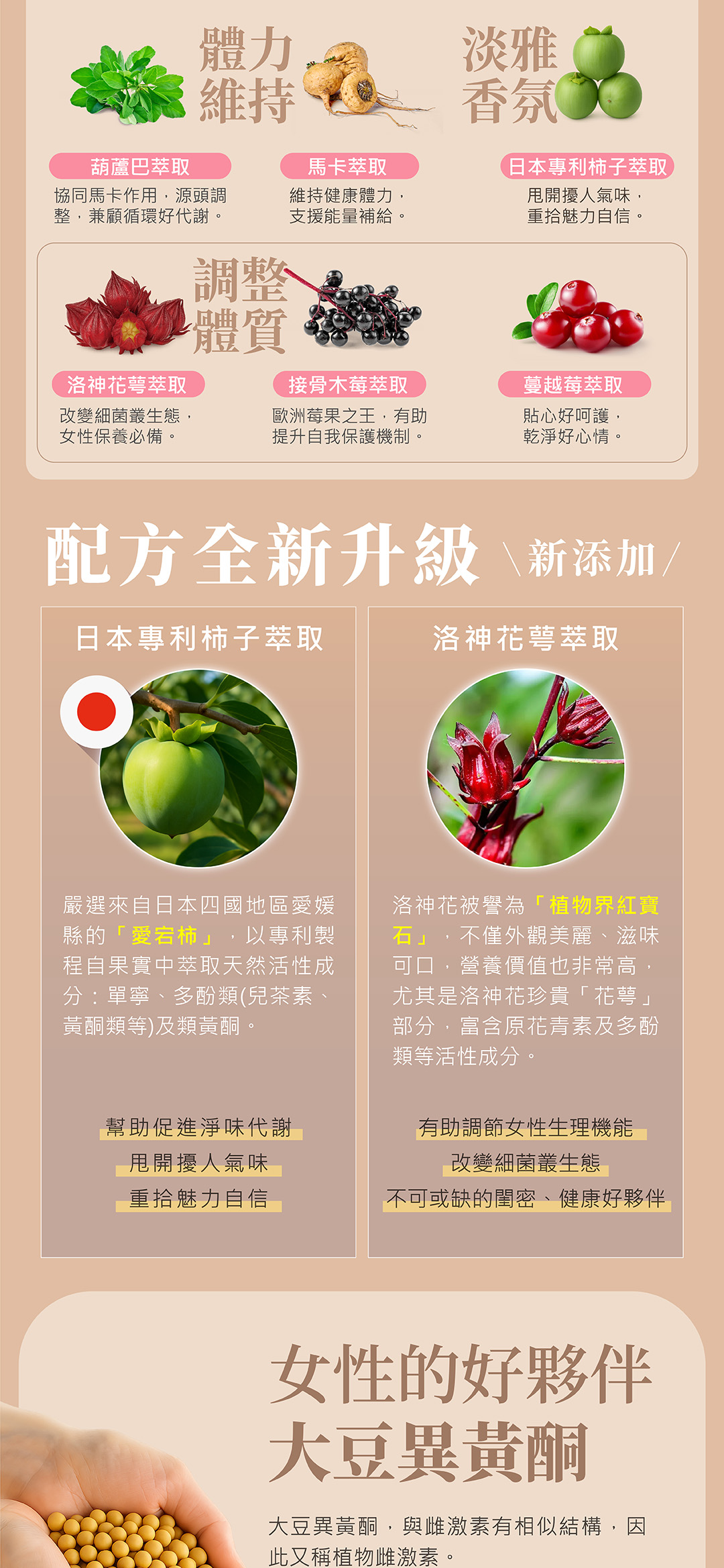 ISODUCE Plus 暖舒優煥活粉 商品說明 4