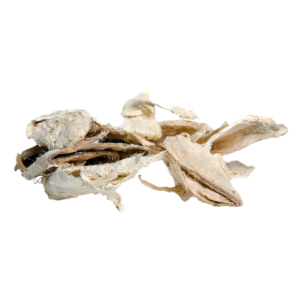 Pueraria