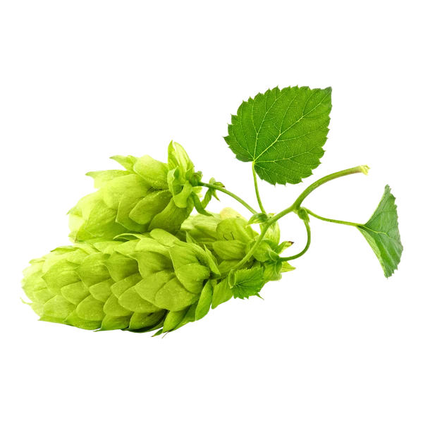 Hops