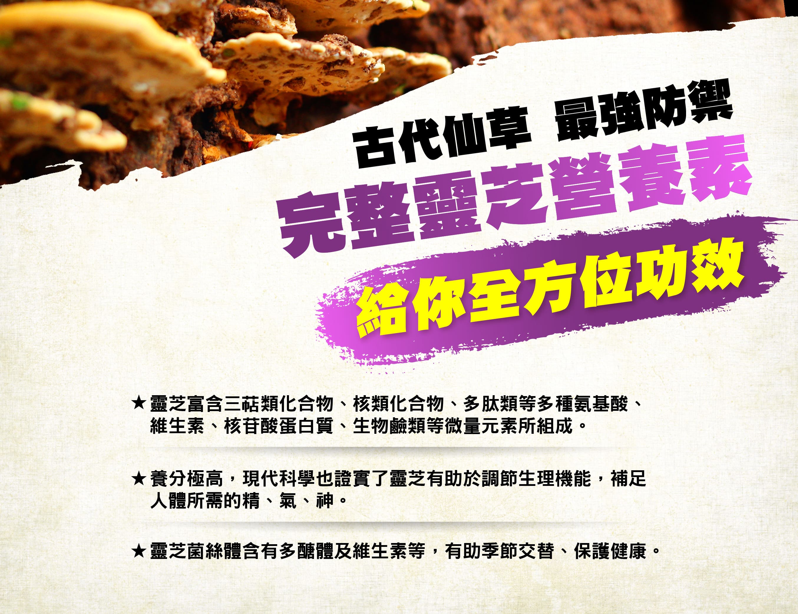 product_2